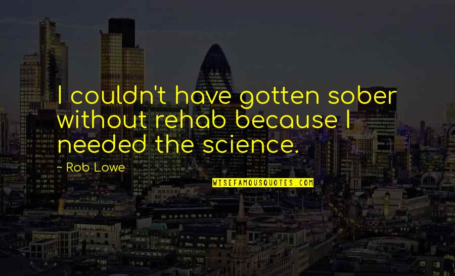 Rehab Quotes By Rob Lowe: I couldn't have gotten sober without rehab because