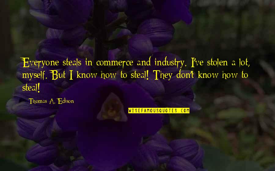 Rehabilitate In A Sentence Quotes By Thomas A. Edison: Everyone steals in commerce and industry. I've stolen
