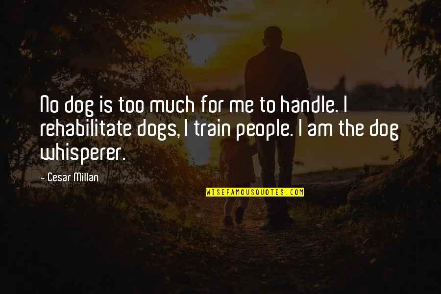 Rehabilitate Quotes By Cesar Millan: No dog is too much for me to