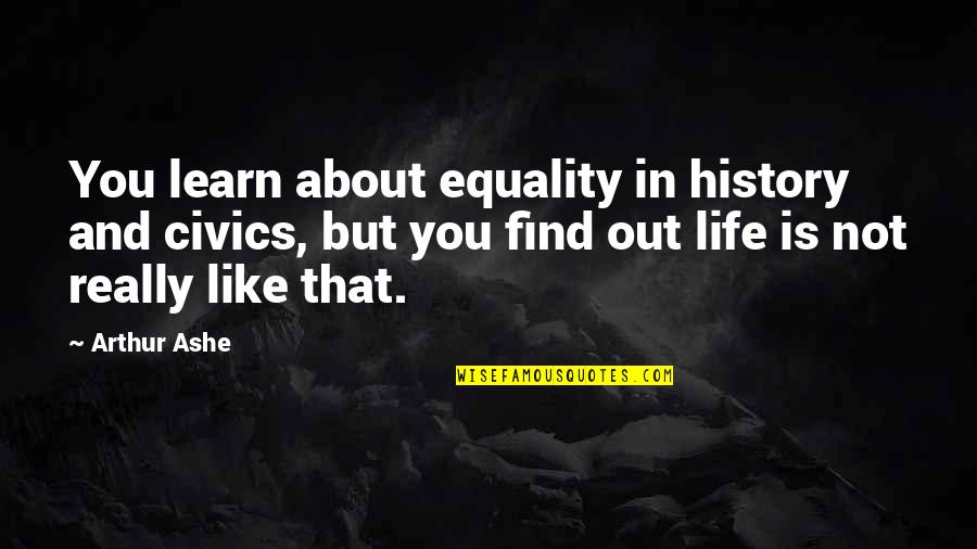 Rehabilitating A Puppy Quotes By Arthur Ashe: You learn about equality in history and civics,