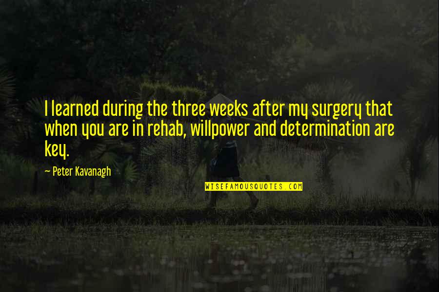 Rehab's Quotes By Peter Kavanagh: I learned during the three weeks after my