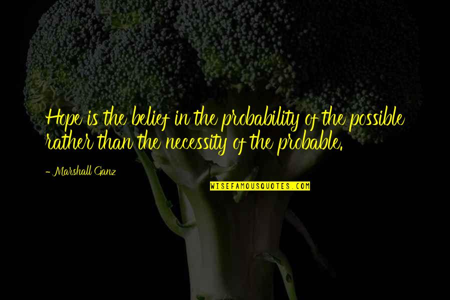 Rehane Butterfly Skirt Quotes By Marshall Ganz: Hope is the belief in the probability of Rehane Butterfly Skirt Quotes By Marshall Ganz: Hope is the belief in the probability of