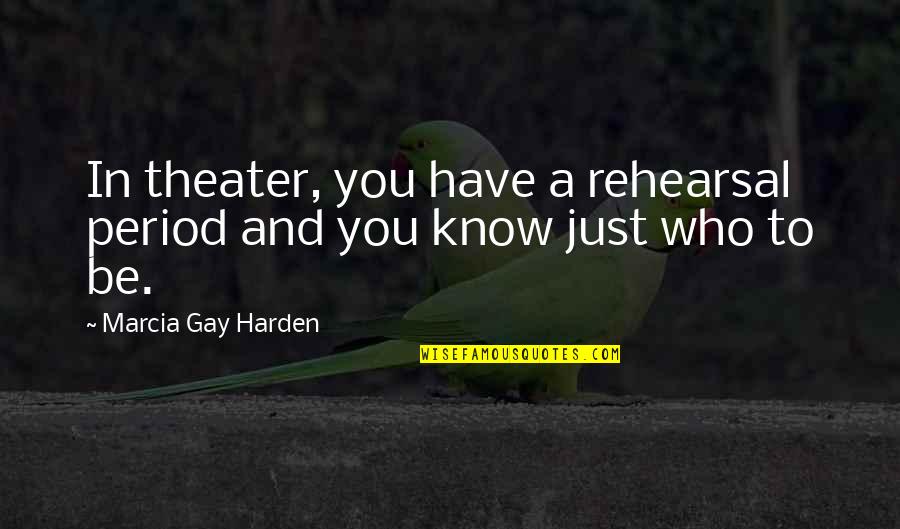 Rehearsal Quotes By Marcia Gay Harden: In theater, you have a rehearsal period and