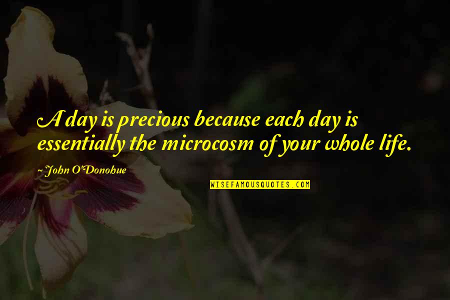 Rehenes Quotes By John O'Donohue: A day is precious because each day is