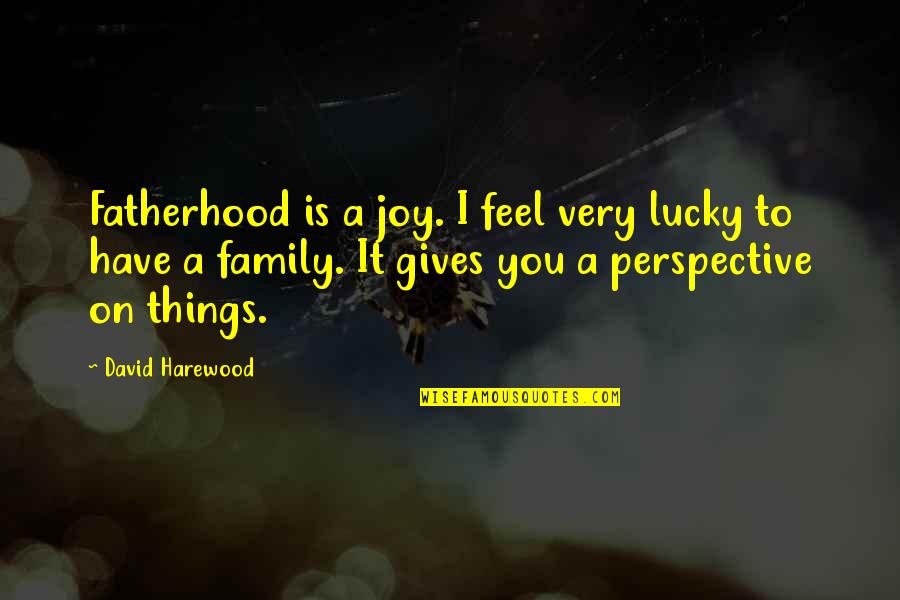 Rehlaty Quotes By David Harewood: Fatherhood is a joy. I feel very lucky Rehlaty Quotes By David Harewood: Fatherhood is a joy. I feel very lucky