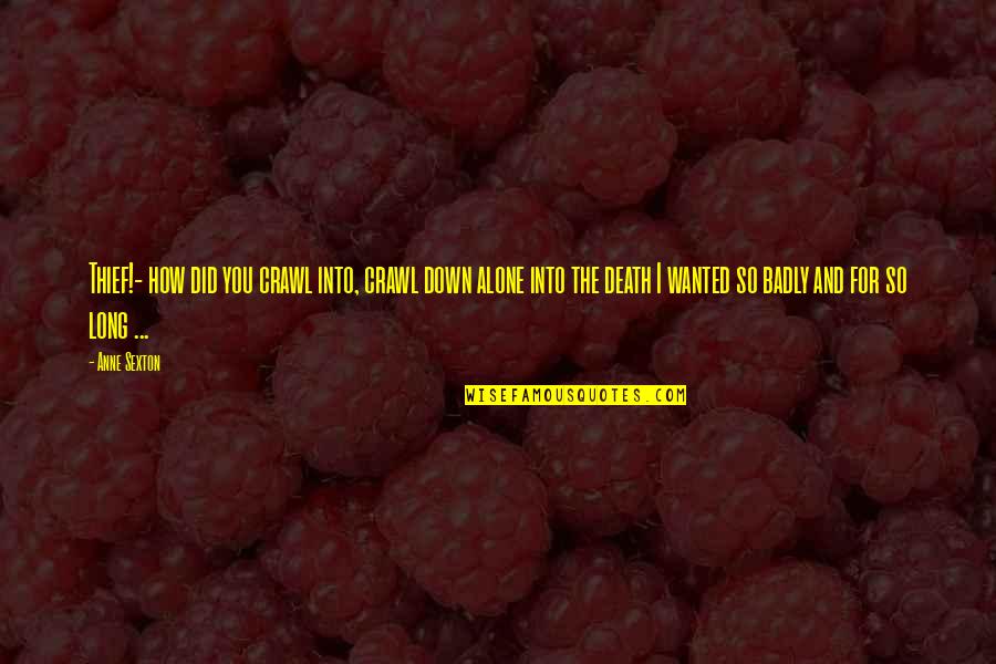 Rehnberg Jacobson Quotes By Anne Sexton: Thief!- how did you crawl into, crawl down Rehnberg Jacobson Quotes By Anne Sexton: Thief!- how did you crawl into, crawl down