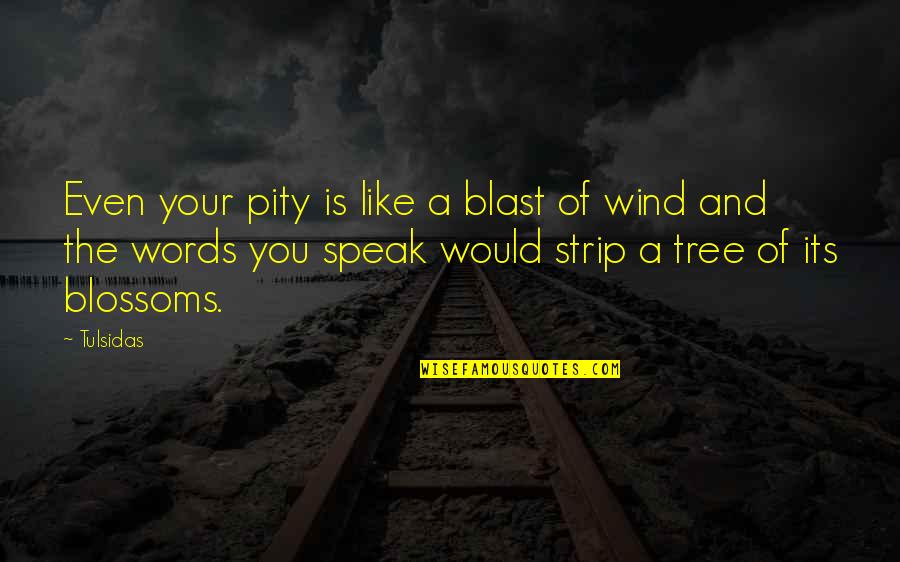 Rei Un Quote Quotes By Tulsidas: Even your pity is like a blast of