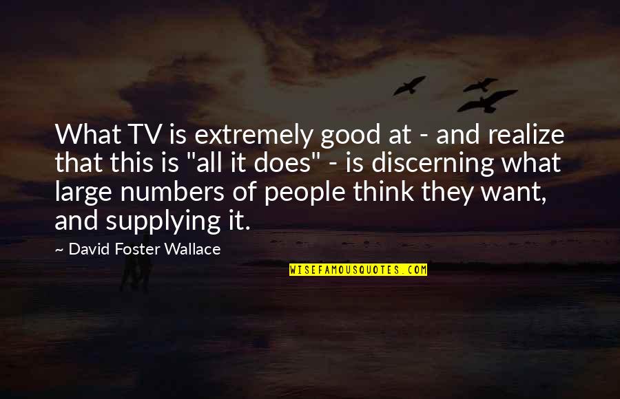 Reichler Robert Quotes By David Foster Wallace: What TV is extremely good at - and Reichler Robert Quotes By David Foster Wallace: What TV is extremely good at - and