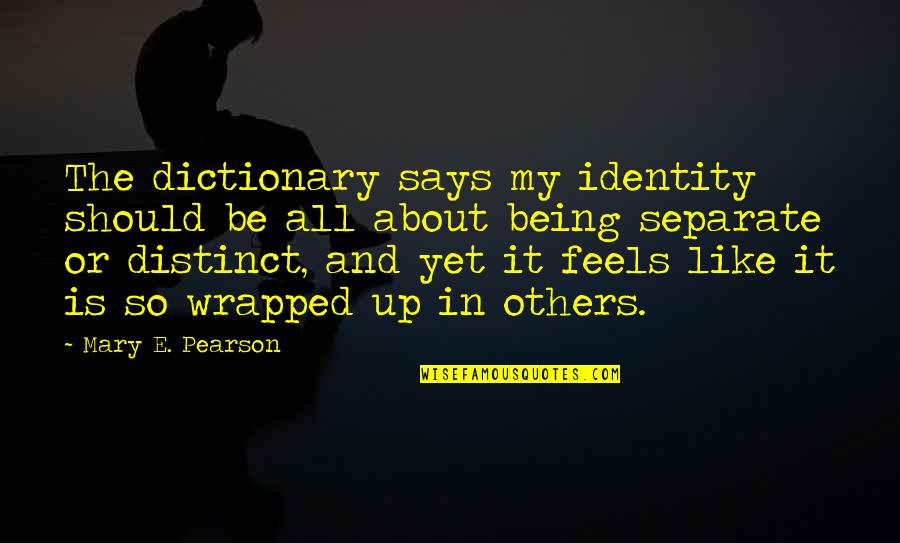 Reidenbach Beer Quotes By Mary E. Pearson: The dictionary says my identity should be all Reidenbach Beer Quotes By Mary E. Pearson: The dictionary says my identity should be all