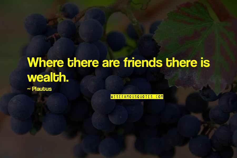 Reification Quotes By Plautus: Where there are friends there is wealth.