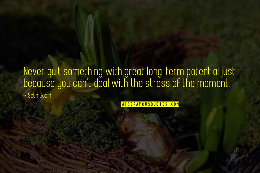 Reign Of Terror Quotes By Seth Godin: Never quit something with great long-term potential just