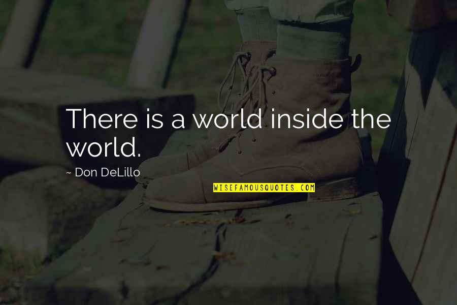 Reign Supreme Quotes By Don DeLillo: There is a world inside the world.