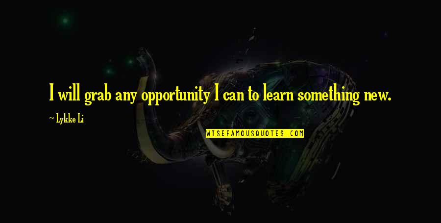 Reija Palo Oja Quotes By Lykke Li: I will grab any opportunity I can to