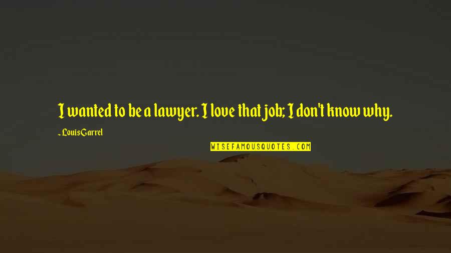 Reikia Daliu Quotes By Louis Garrel: I wanted to be a lawyer. I love Reikia Daliu Quotes By Louis Garrel: I wanted to be a lawyer. I love
