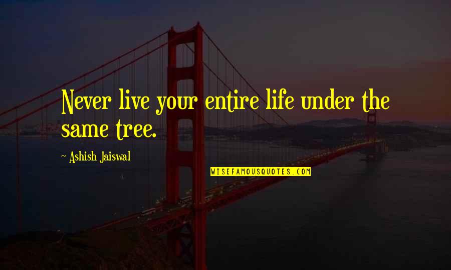 Reimer Transport Quotes By Ashish Jaiswal: Never live your entire life under the same