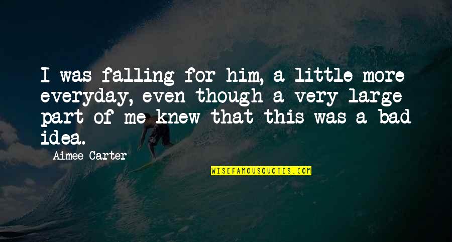Reincidencia Sinonimo Quotes By Aimee Carter: I was falling for him, a little more Reincidencia Sinonimo Quotes By Aimee Carter: I was falling for him, a little more