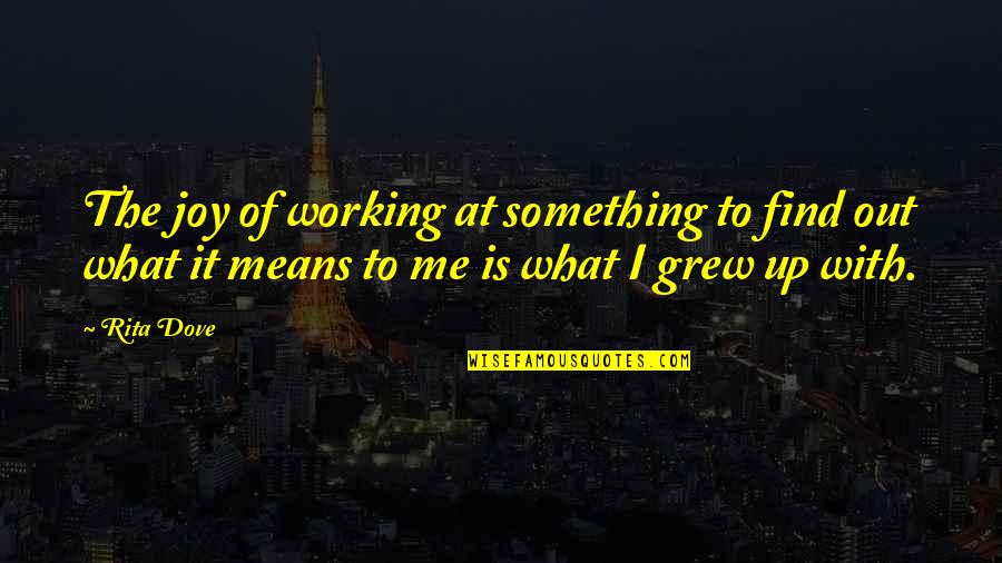 Reincorporated Synonym Quotes By Rita Dove: The joy of working at something to find