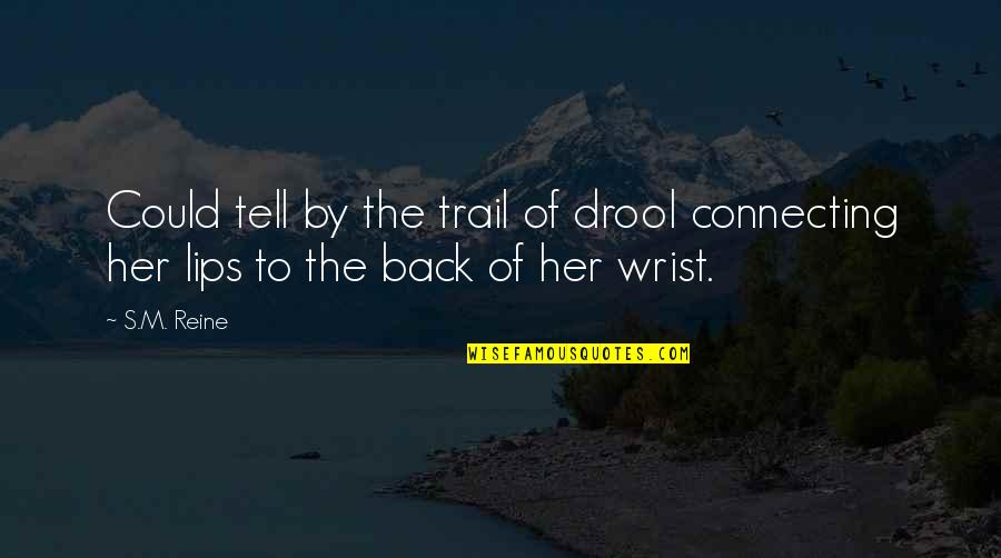 Reine Quotes By S.M. Reine: Could tell by the trail of drool connecting