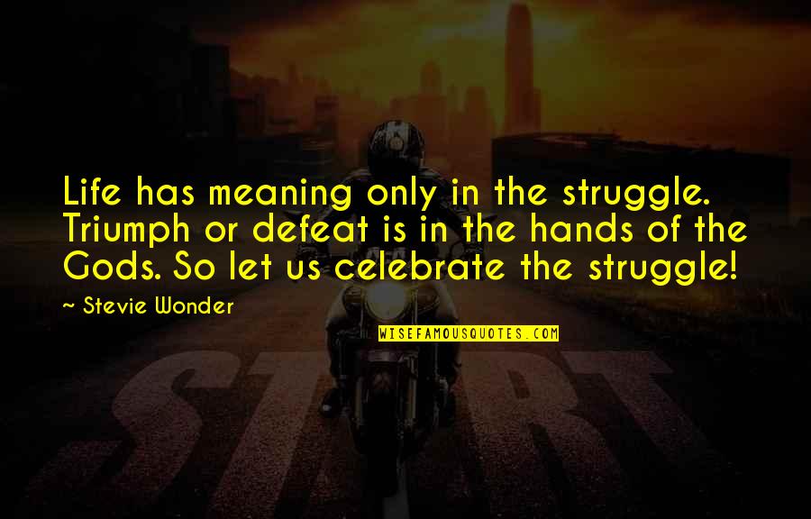 Reinfection Quotes By Stevie Wonder: Life has meaning only in the struggle. Triumph Reinfection Quotes By Stevie Wonder: Life has meaning only in the struggle. Triumph