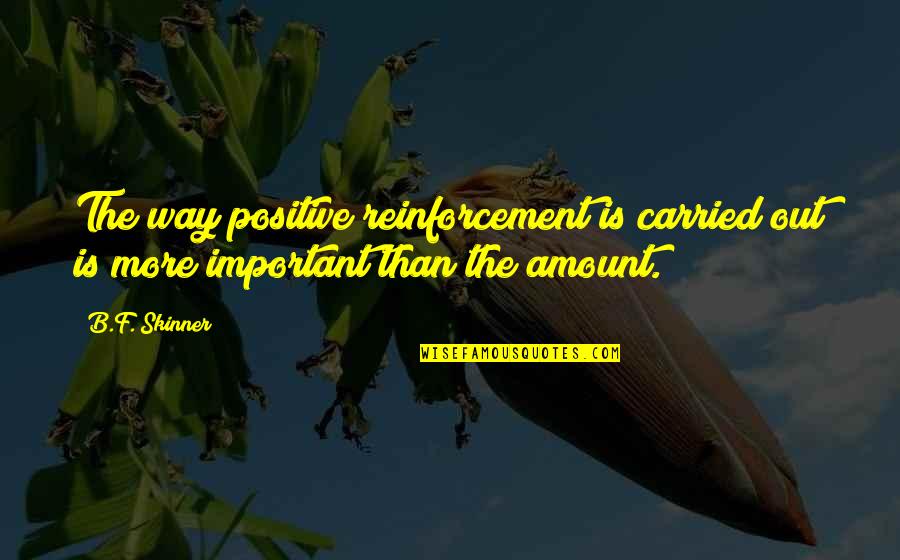 Reinforcement Quotes By B.F. Skinner: The way positive reinforcement is carried out is