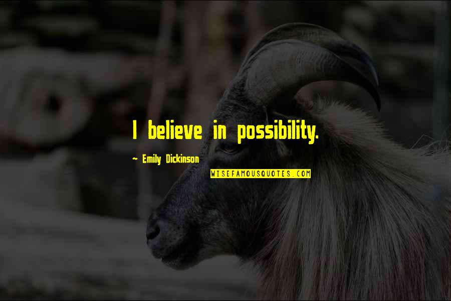Reinforcers Quotes By Emily Dickinson: I believe in possibility.