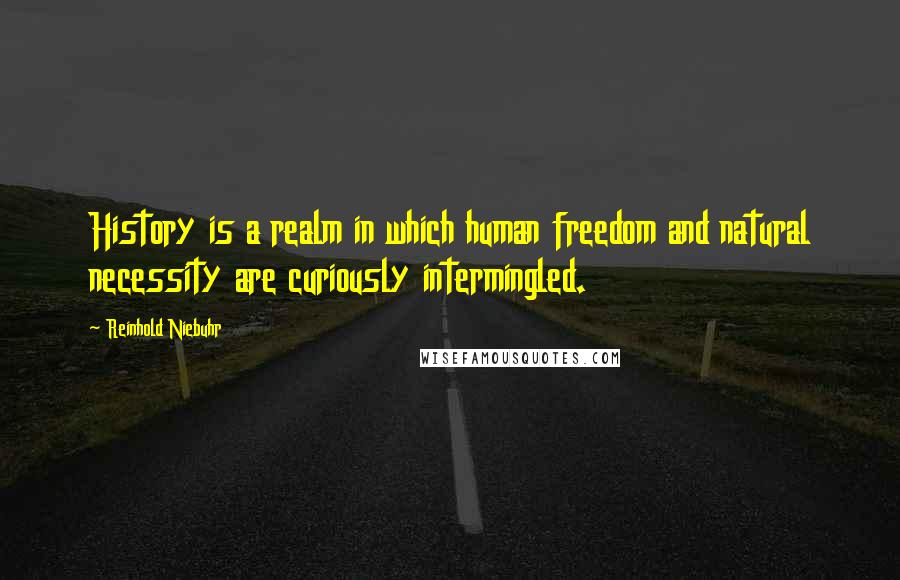 Reinhold Niebuhr quotes: History is a realm in which human freedom and natural necessity are curiously intermingled.