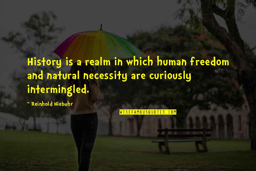 Reinhold Quotes By Reinhold Niebuhr: History is a realm in which human freedom