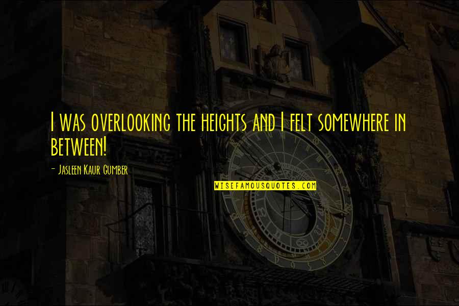 Reinicke Houston Quotes By Jasleen Kaur Gumber: I was overlooking the heights and I felt Reinicke Houston Quotes By Jasleen Kaur Gumber: I was overlooking the heights and I felt