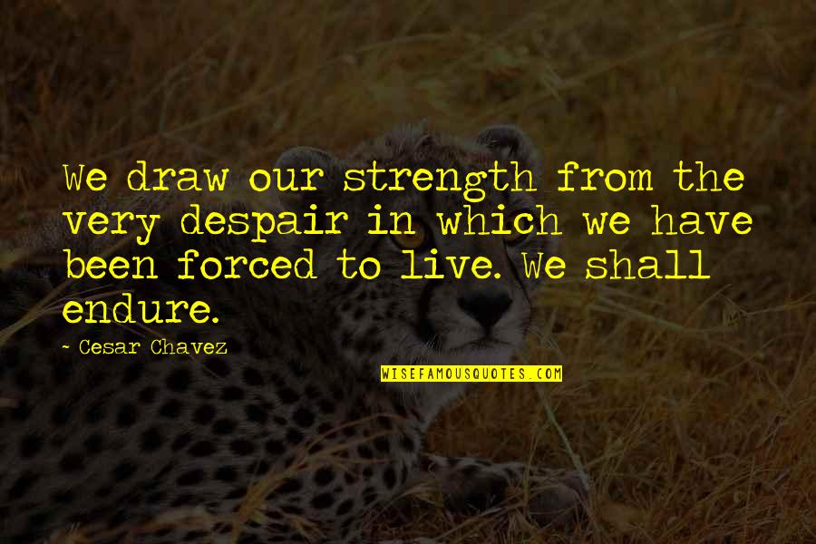 Reiniger Quotes By Cesar Chavez: We draw our strength from the very despair Reiniger Quotes By Cesar Chavez: We draw our strength from the very despair