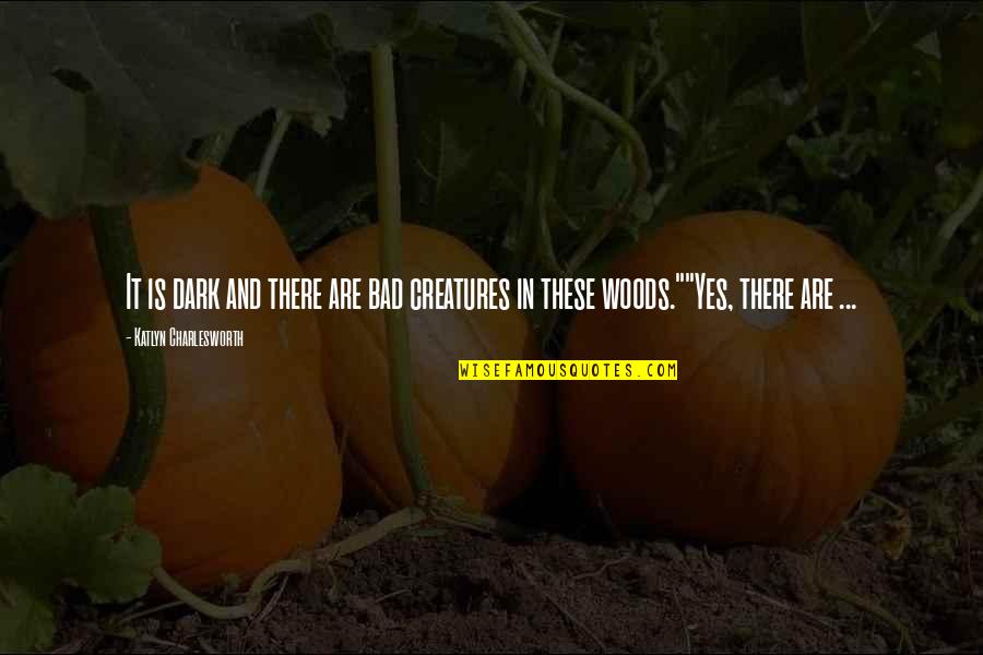 Reinprecht James Quotes By Katlyn Charlesworth: It is dark and there are bad creatures