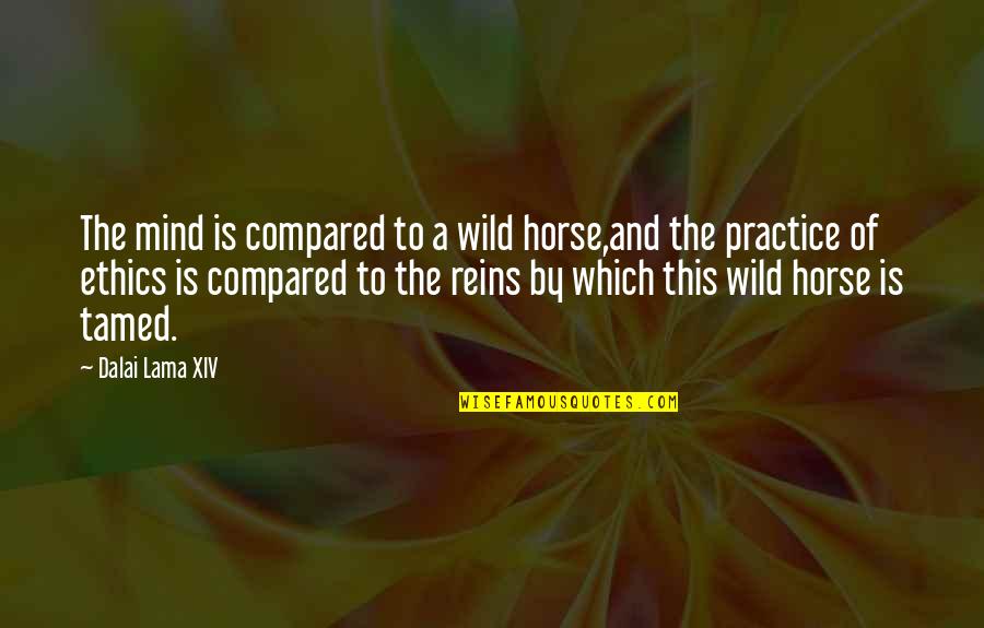 Reins Quotes By Dalai Lama XIV: The mind is compared to a wild horse,and Reins Quotes By Dalai Lama XIV: The mind is compared to a wild horse,and