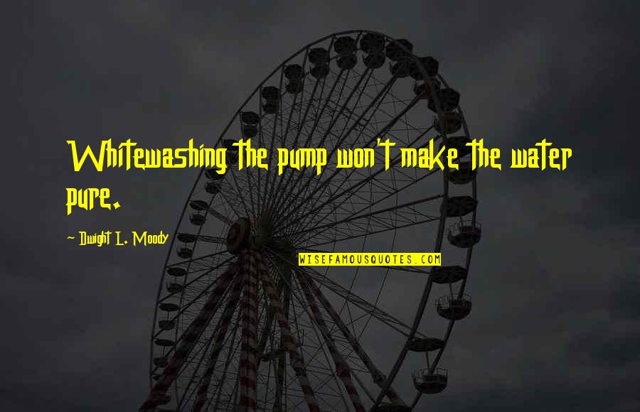 Reisig Seeds Quotes By Dwight L. Moody: Whitewashing the pump won't make the water pure. Reisig Seeds Quotes By Dwight L. Moody: Whitewashing the pump won't make the water pure.