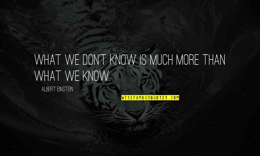 Reiterate In A Sentence Quotes By Albert Einstein: What we don't know is much more than