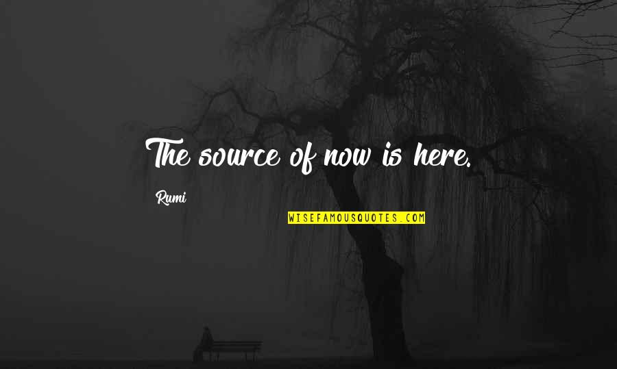 Reiter's Quotes By Rumi: The source of now is here.