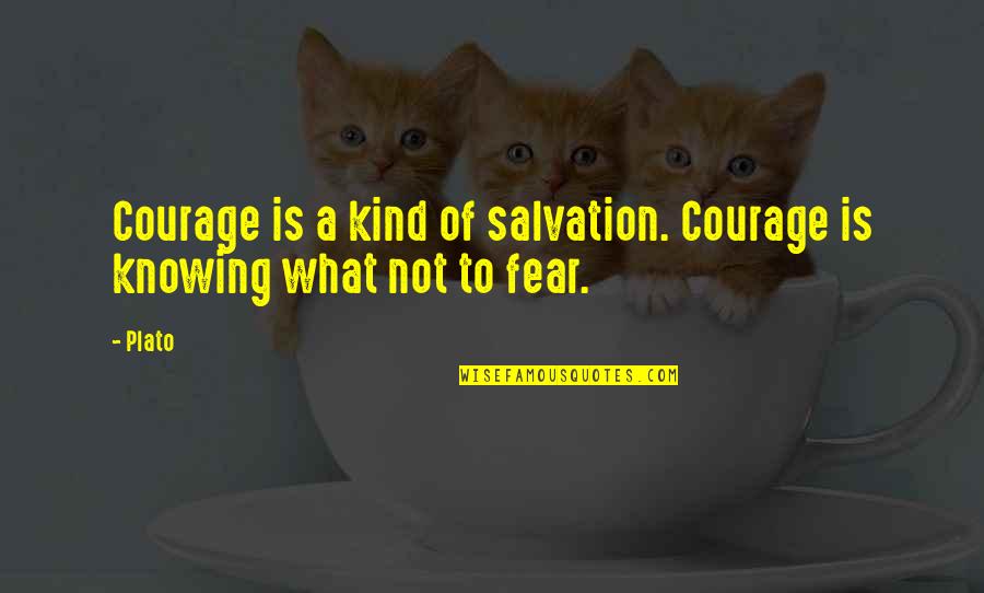 Reitsma Rome Quotes By Plato: Courage is a kind of salvation. Courage is