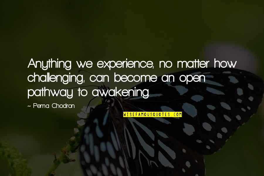 Reivindicaao Quotes By Pema Chodron: Anything we experience, no matter how challenging, can