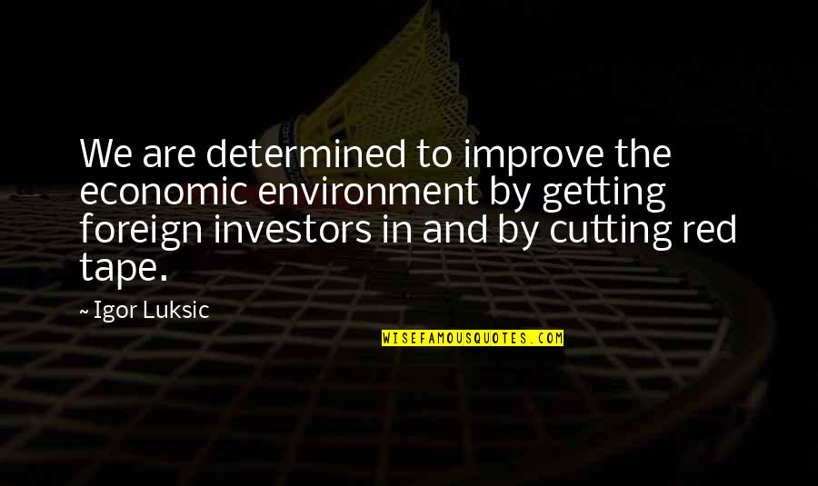 Rejekipoker Quotes By Igor Luksic: We are determined to improve the economic environment Rejekipoker Quotes By Igor Luksic: We are determined to improve the economic environment