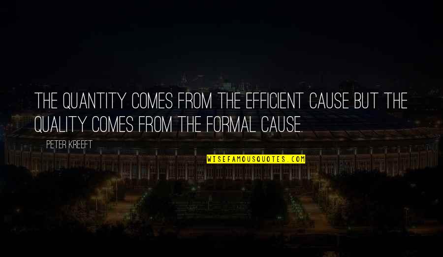 Rekindling A Friendship Quotes By Peter Kreeft: The quantity comes from the efficient cause but