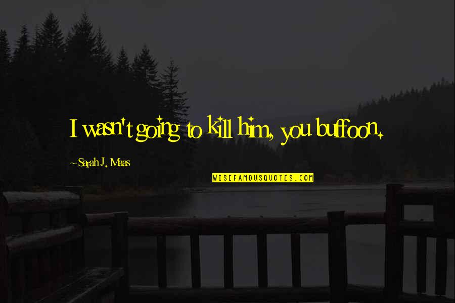 Relangi Comedy Quotes By Sarah J. Maas: I wasn't going to kill him, you buffoon. Relangi Comedy Quotes By Sarah J. Maas: I wasn't going to kill him, you buffoon.