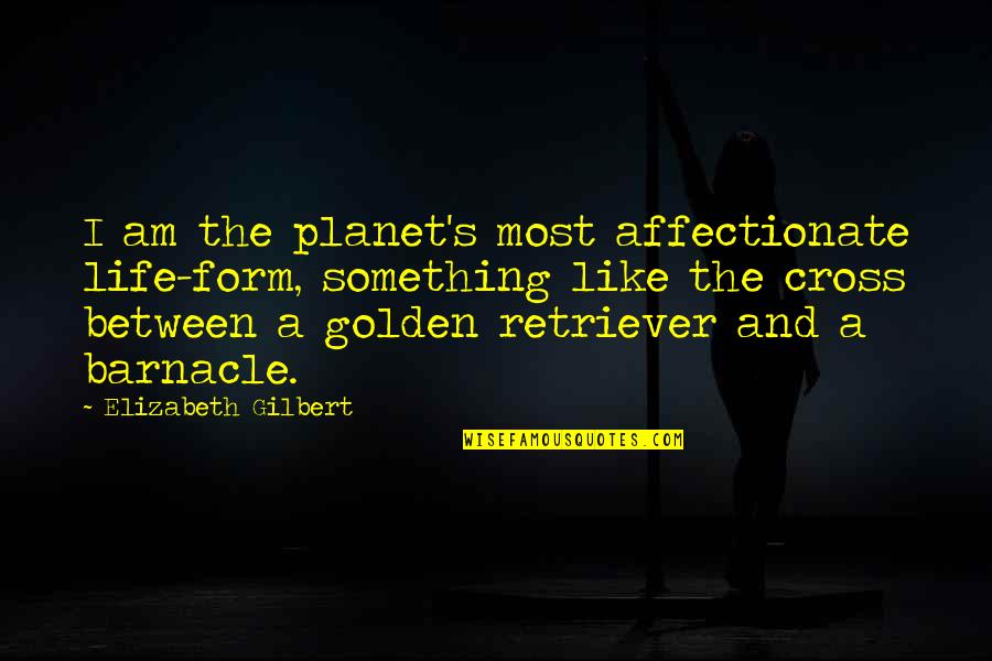 Relates Quotes By Elizabeth Gilbert: I am the planet's most affectionate life-form, something