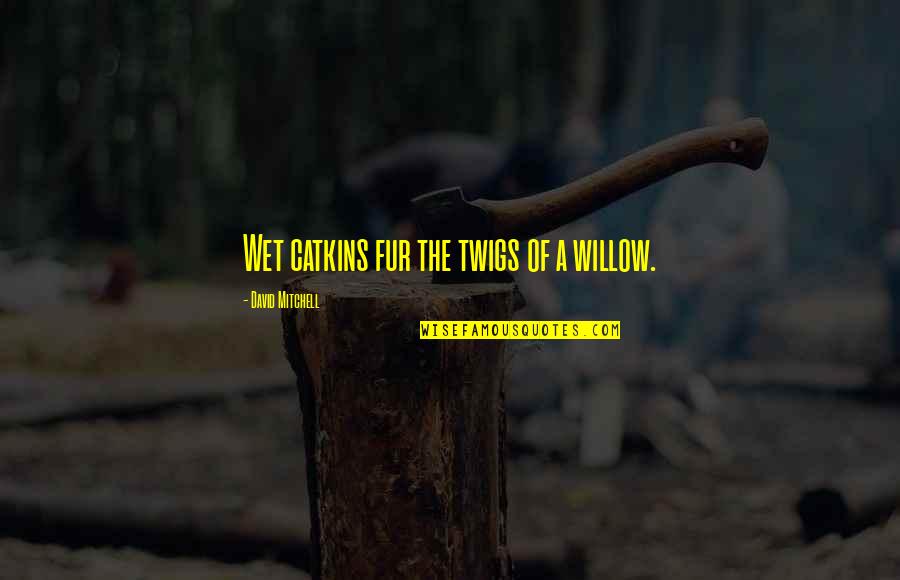 Relating Quotes Quotes By David Mitchell: Wet catkins fur the twigs of a willow. Relating Quotes Quotes By David Mitchell: Wet catkins fur the twigs of a willow.