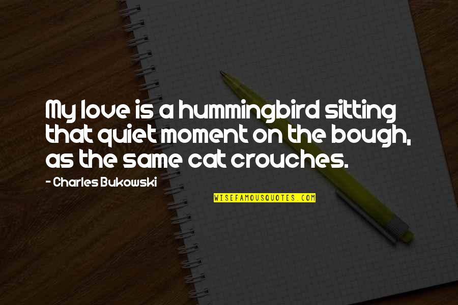 Relation And Ego Quotes By Charles Bukowski: My love is a hummingbird sitting that quiet