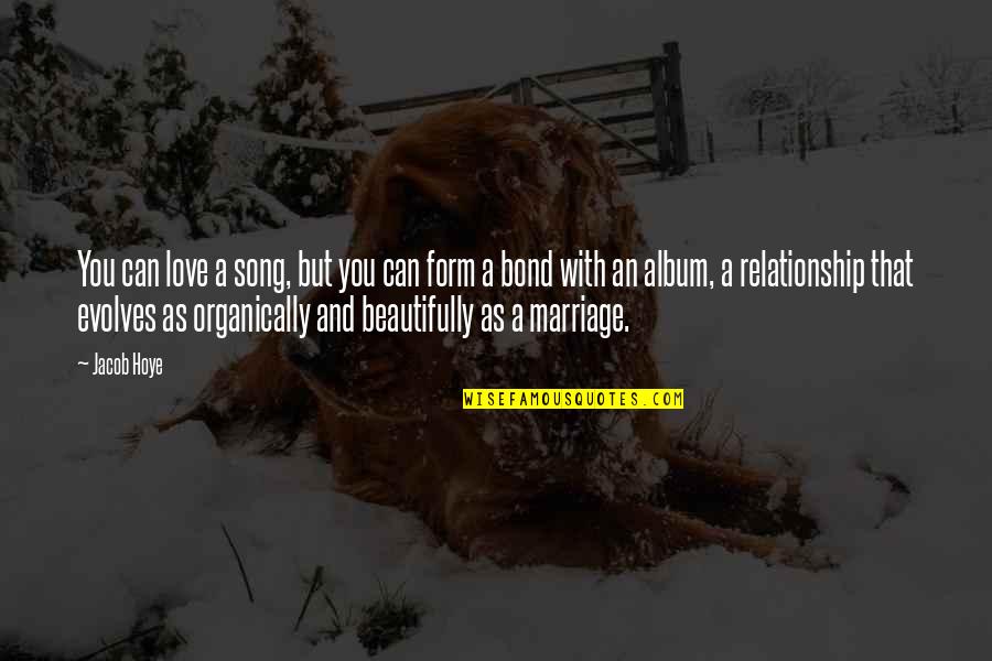 Relationship And Marriage Quotes By Jacob Hoye: You can love a song, but you can Relationship And Marriage Quotes By Jacob Hoye: You can love a song, but you can