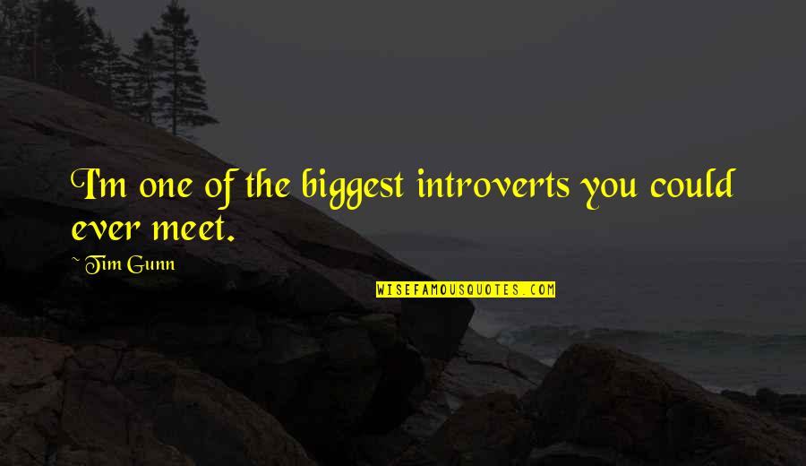 Relationship Frustrations Quotes By Tim Gunn: I'm one of the biggest introverts you could