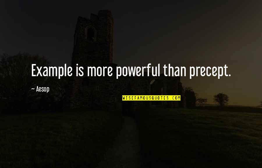Relationship Long Term Quotes By Aesop: Example is more powerful than precept.