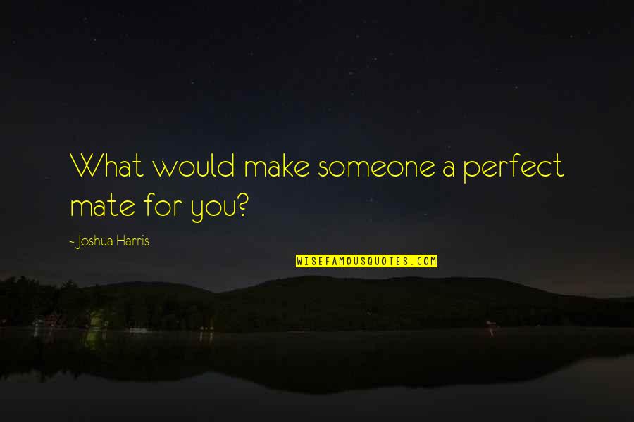 Relationship Potential Quotes By Joshua Harris: What would make someone a perfect mate for