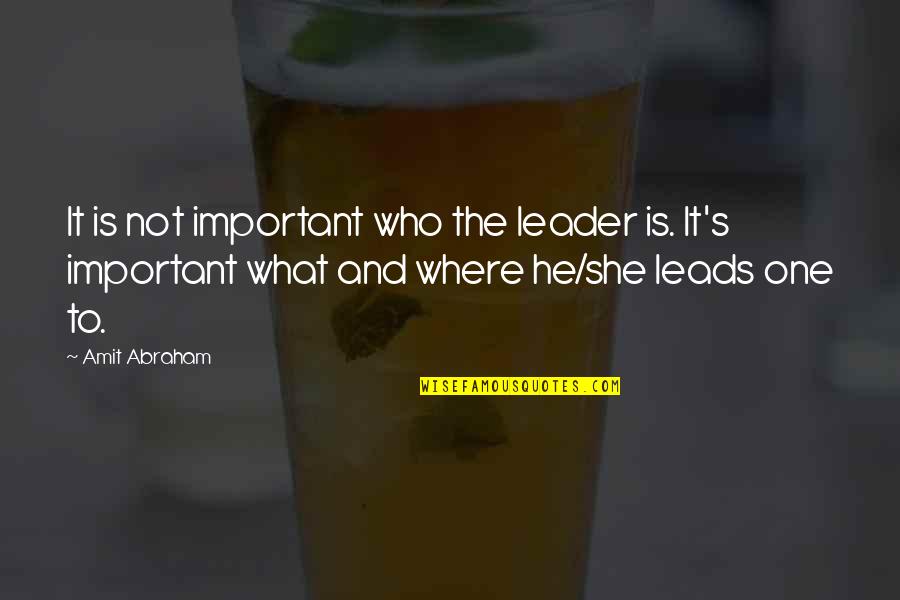 Relationship Problem Solving Quotes By Amit Abraham: It is not important who the leader is.