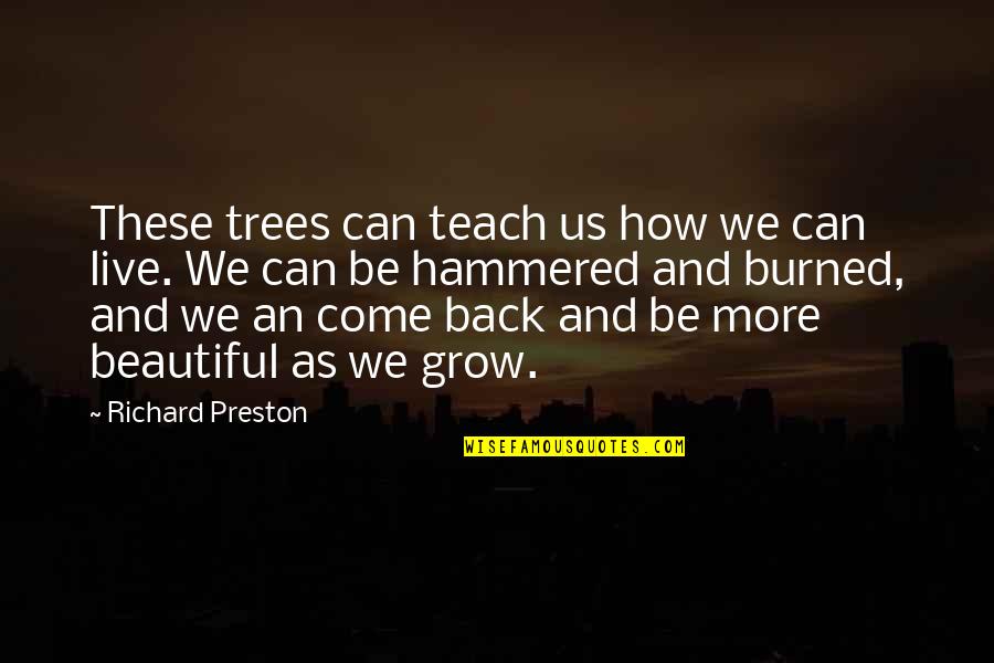 Relationship Slipping Away Quotes By Richard Preston: These trees can teach us how we can Relationship Slipping Away Quotes By Richard Preston: These trees can teach us how we can