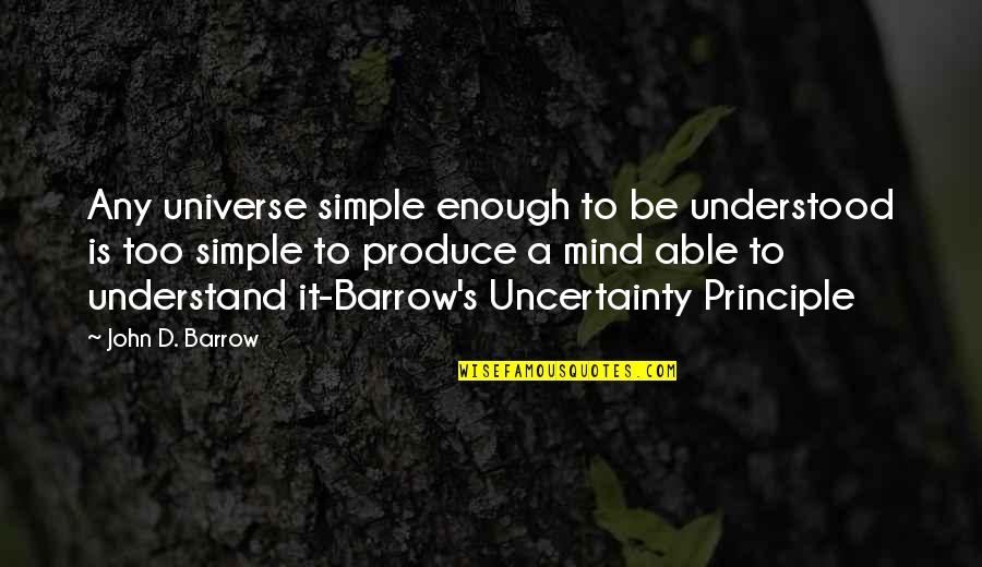 Relationship Without Fight Quotes By John D. Barrow: Any universe simple enough to be understood is