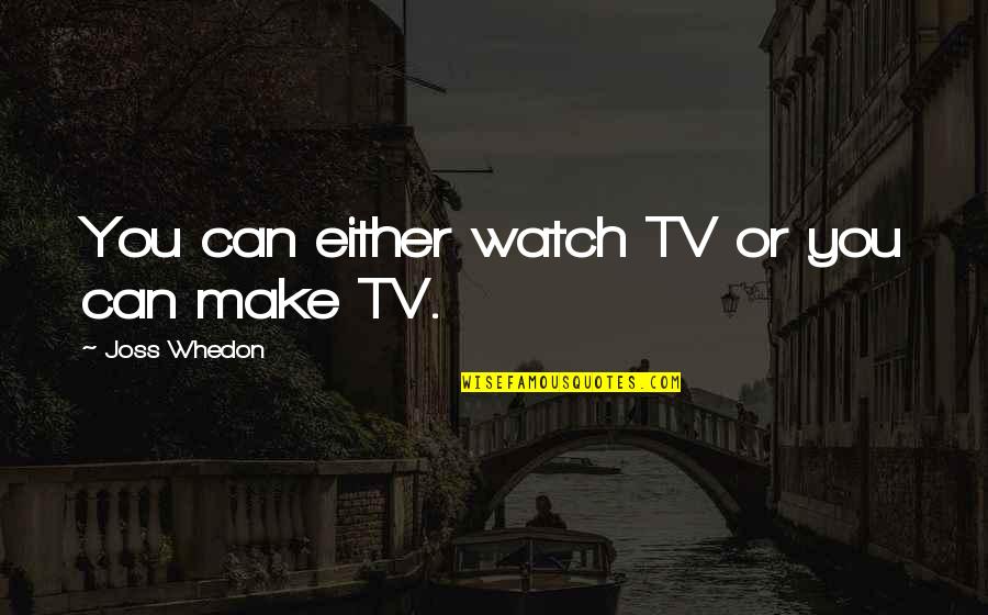 Relationships And Loving Someone Quotes By Joss Whedon: You can either watch TV or you can